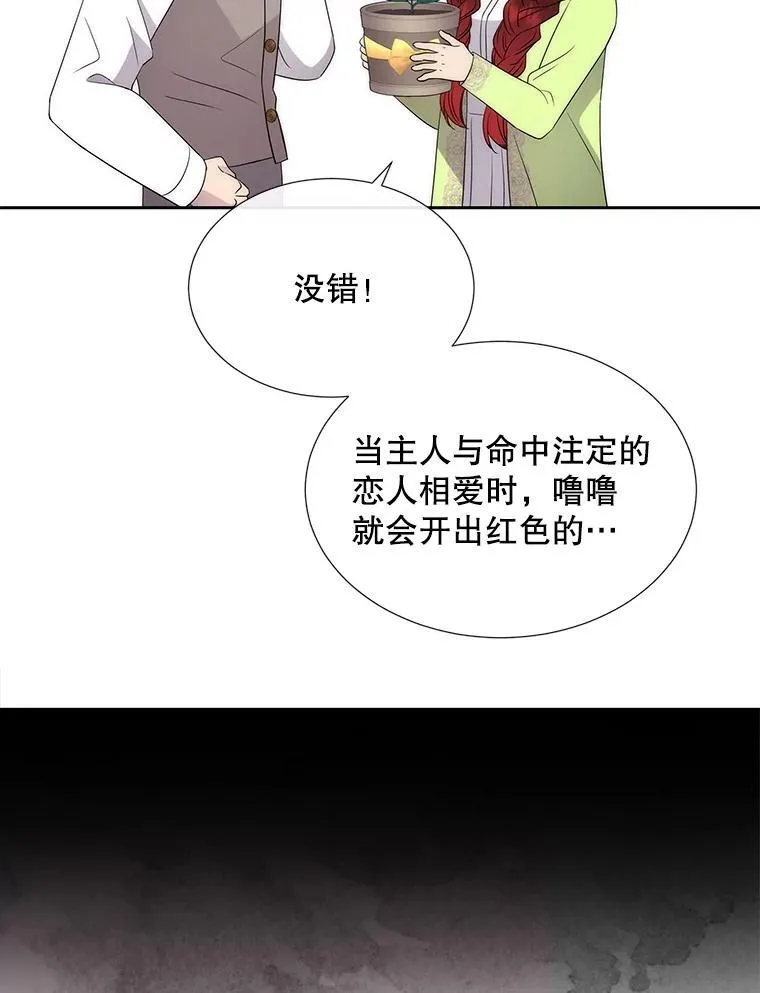 201.红云似花5