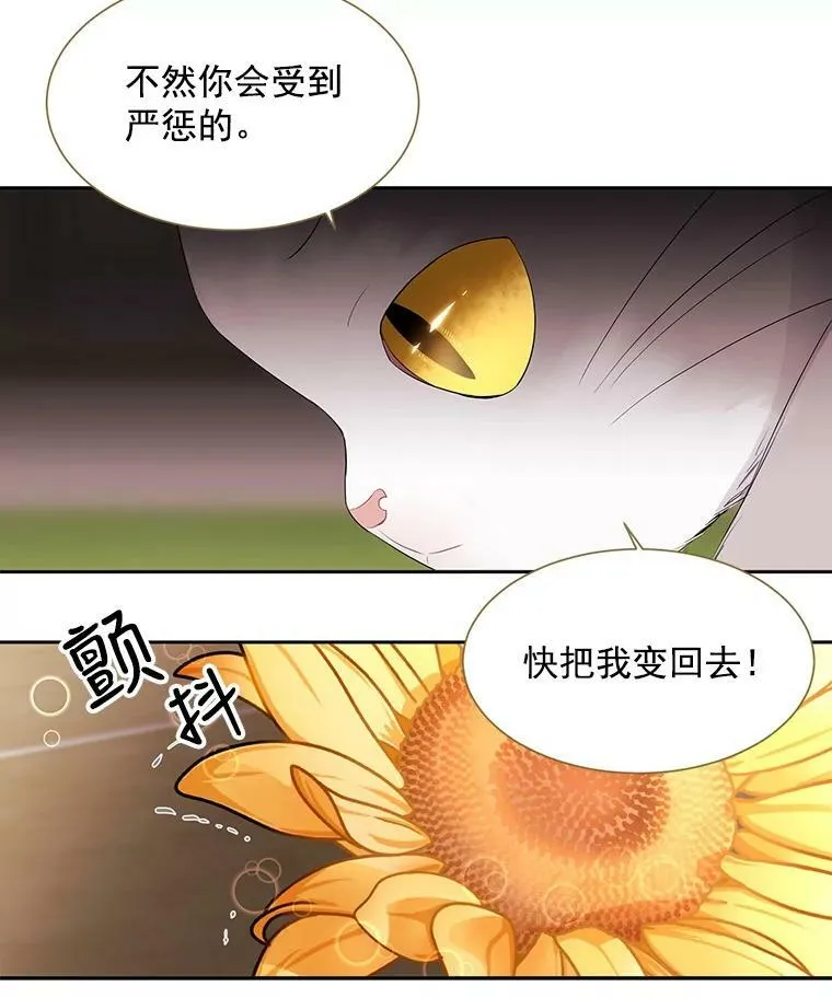 60.变身四脚兽53