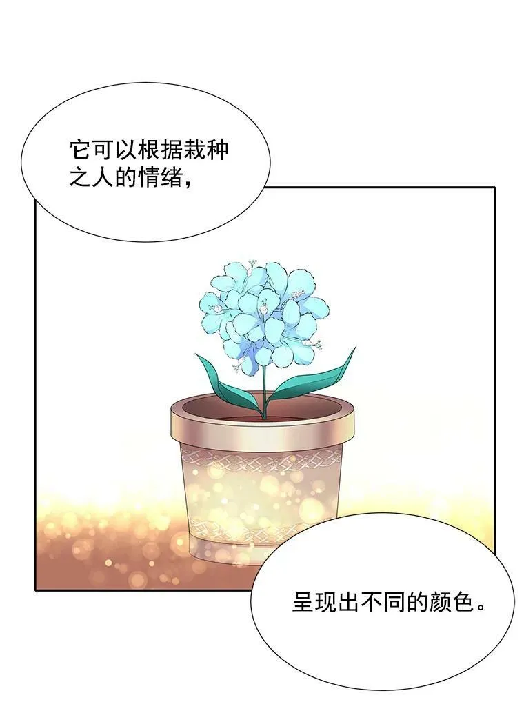 5.第三个弟子25