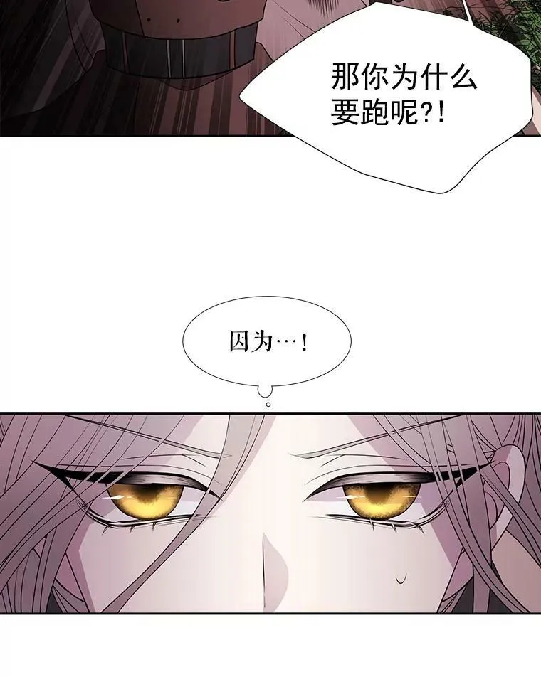 22.超豪华阵容41