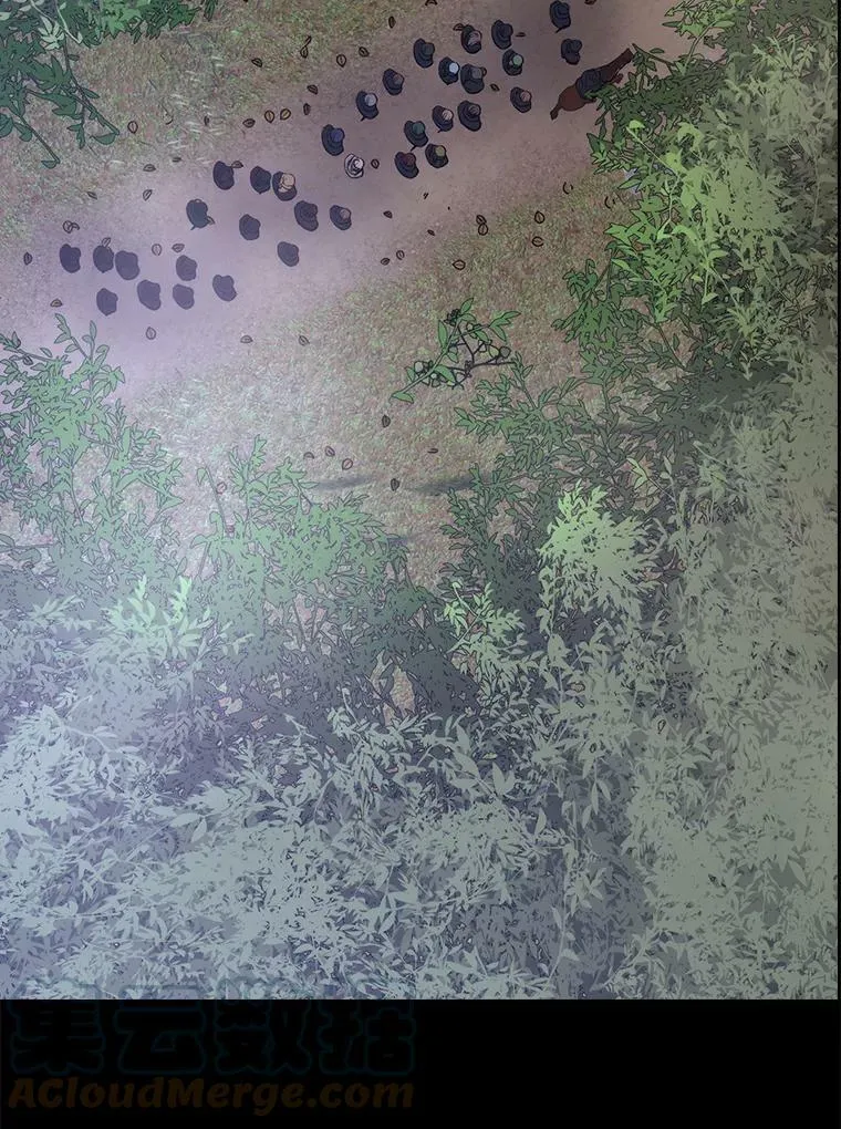 138.排查66