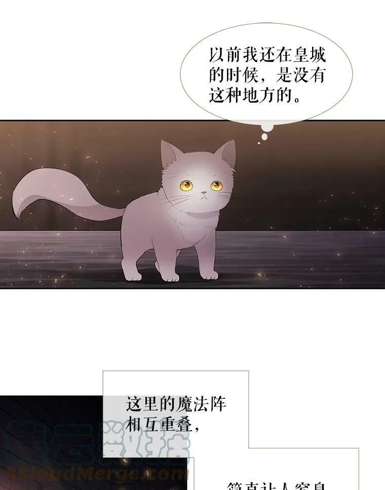 62.再见埃文54