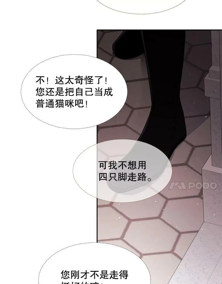 62.再见埃文10