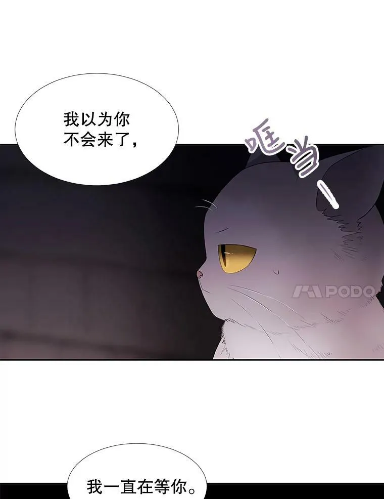 62.再见埃文65