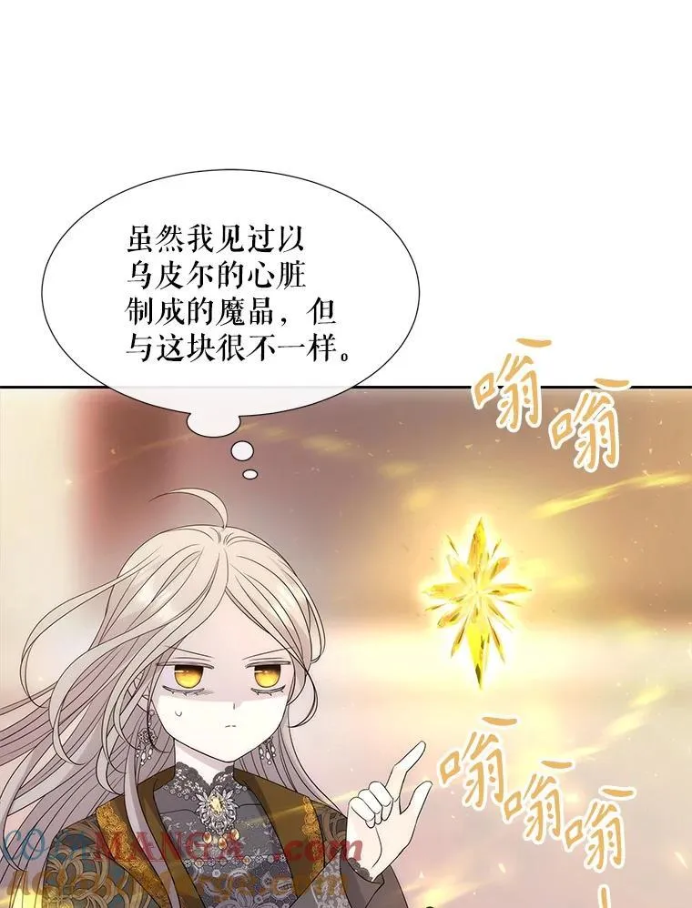 205.生命之星15