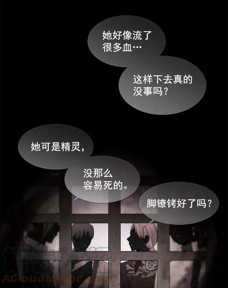 47.潘特姆森林的守护者9