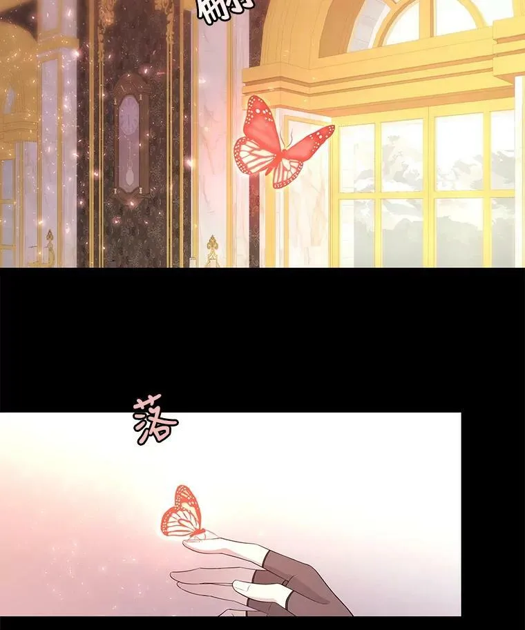 69.埃尔多现身13