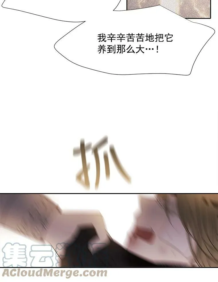 54.“那位大人”66