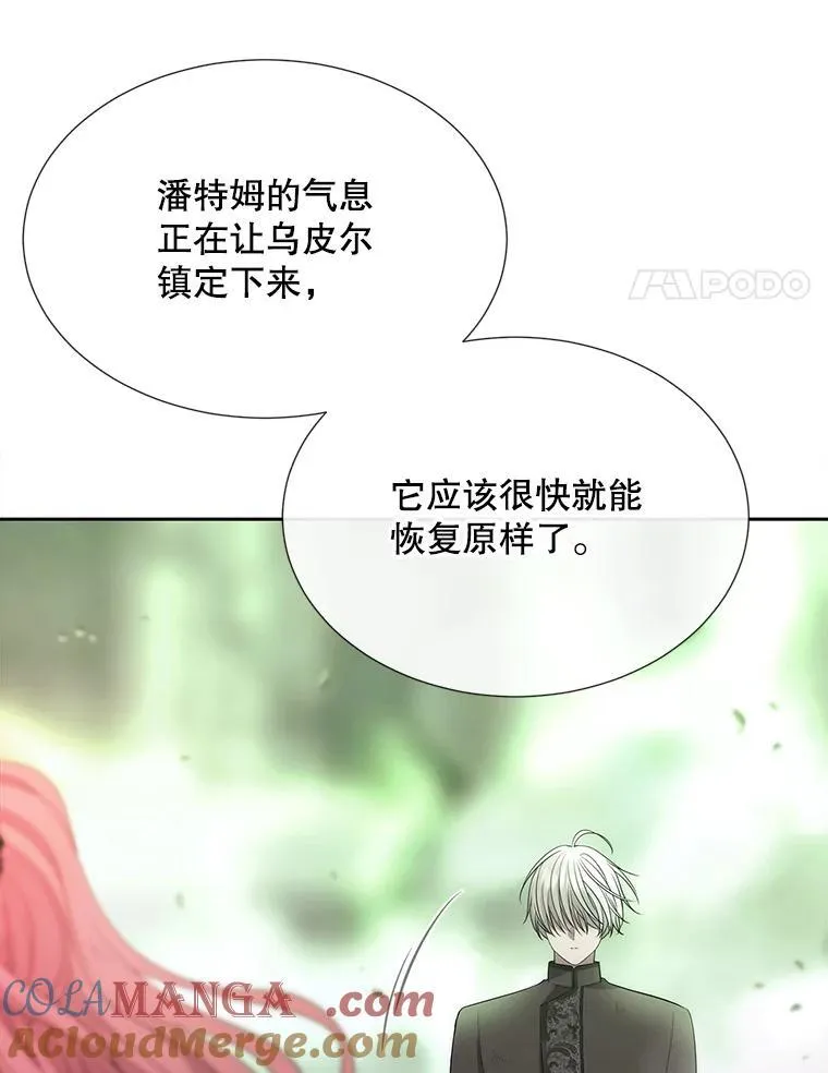 201.红云似花33