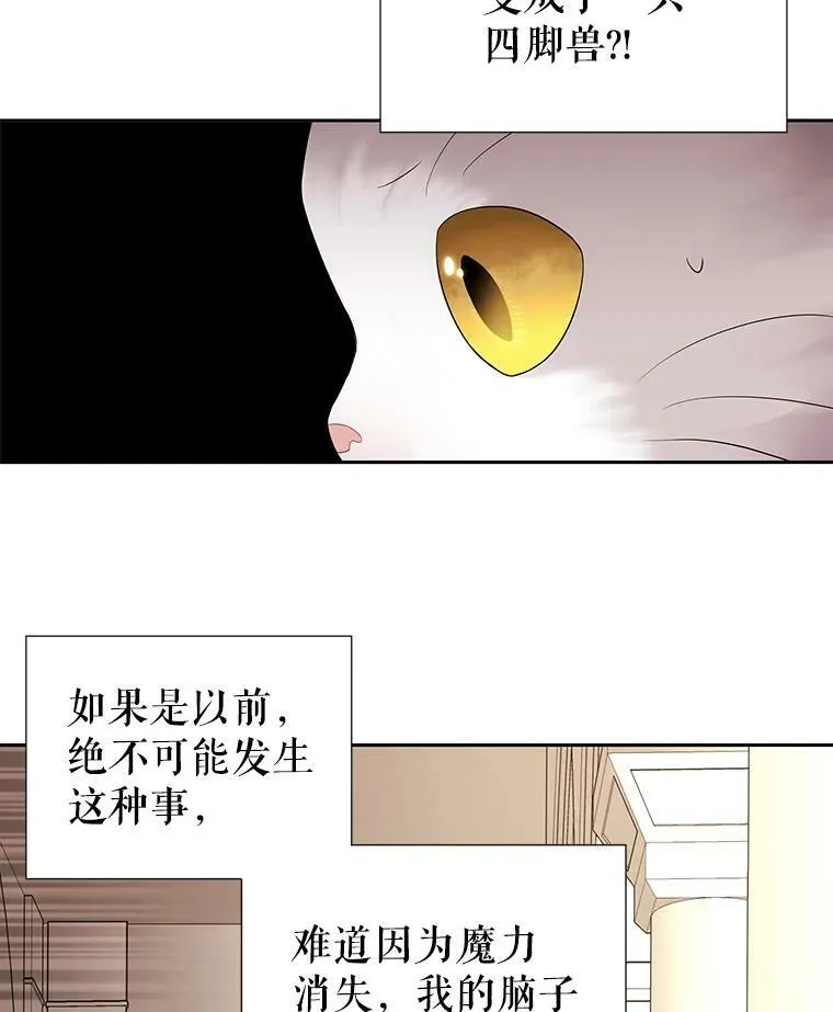 60.变身四脚兽47