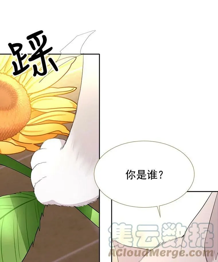 60.变身四脚兽51