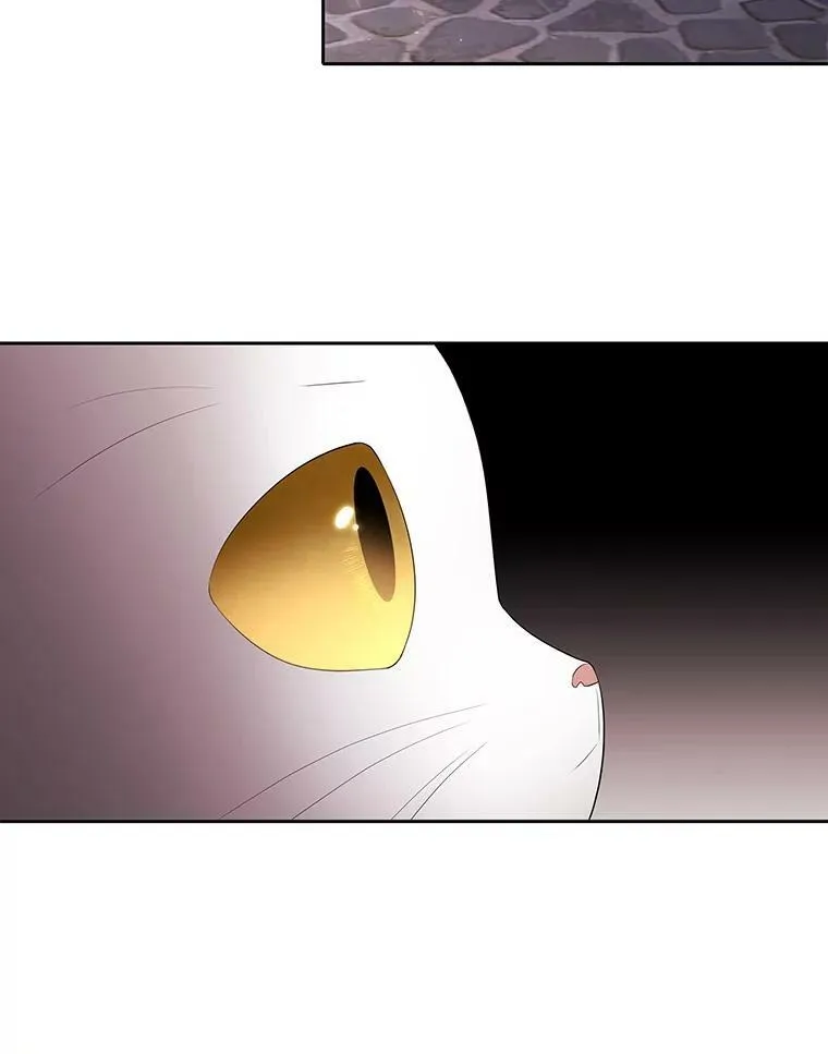 62.再见埃文59