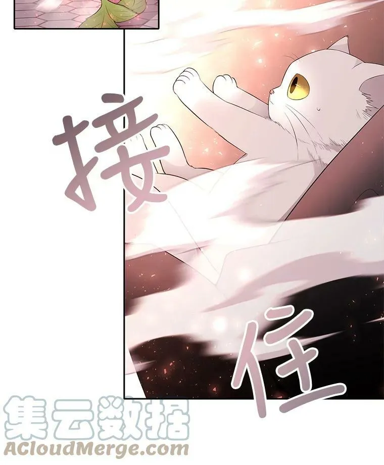 62.再见埃文24