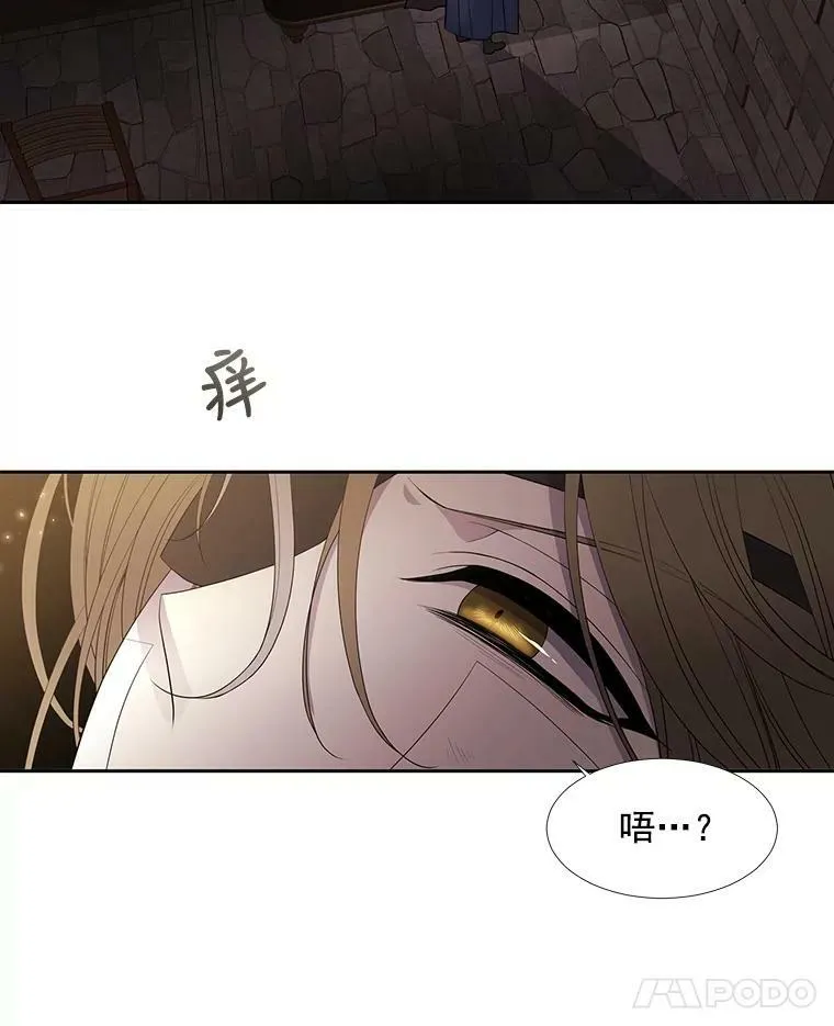40.我是你的师父!16
