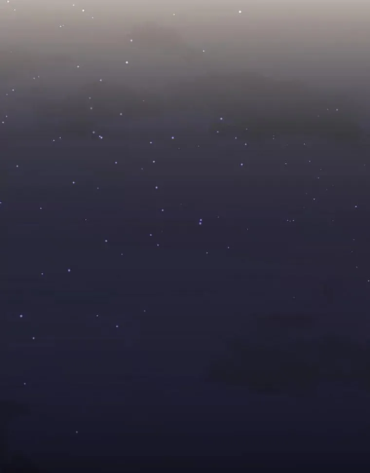 185.商量51