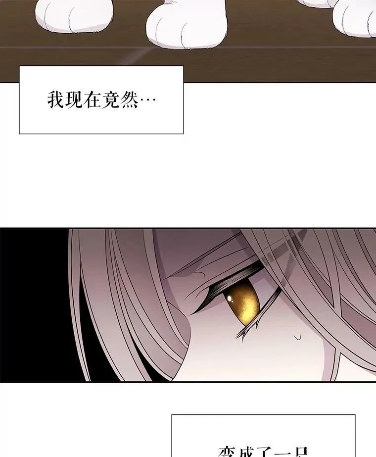 60.变身四脚兽46