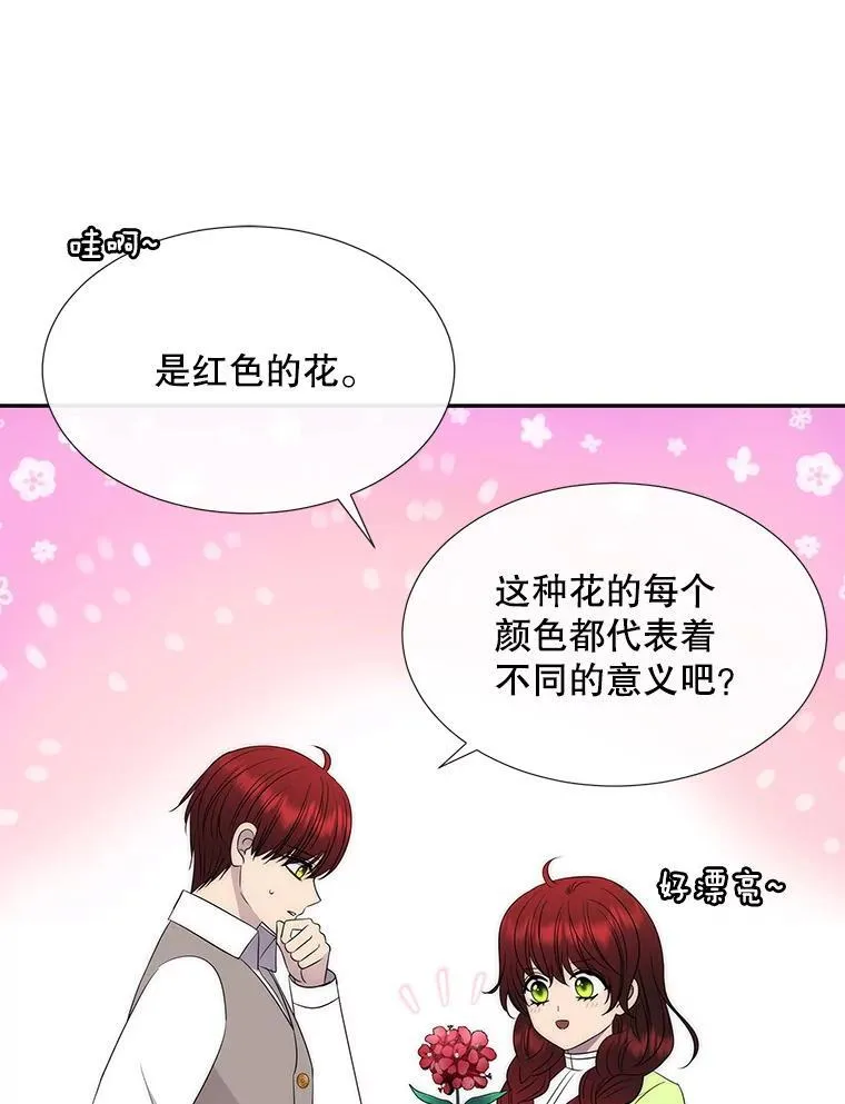201.红云似花4