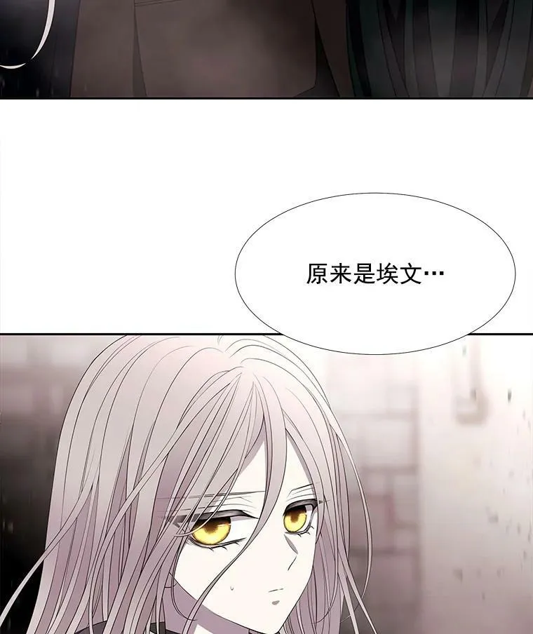 49.不明魔兽29