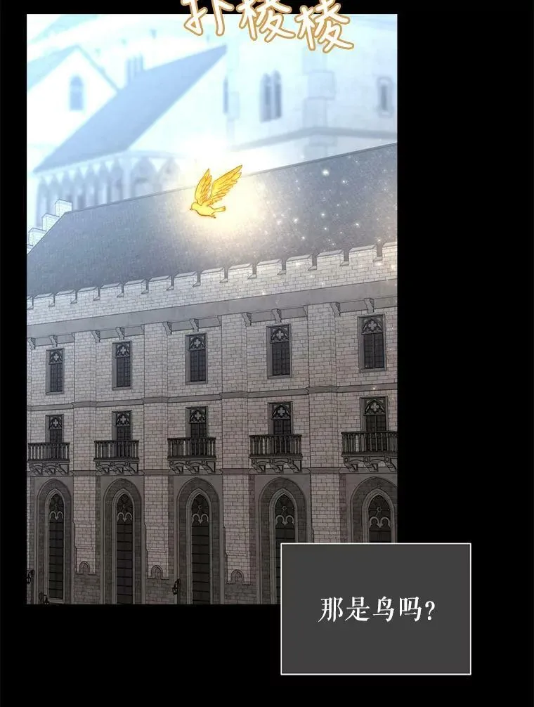 129.初见31