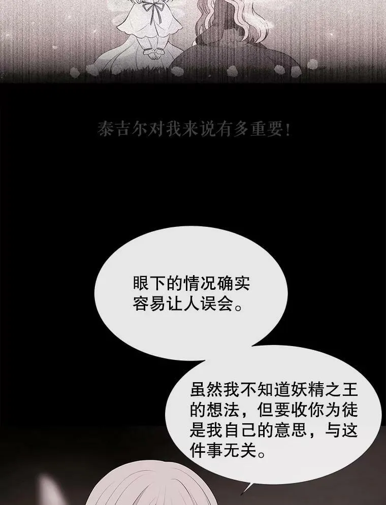 77.泰吉尔是善良的…46