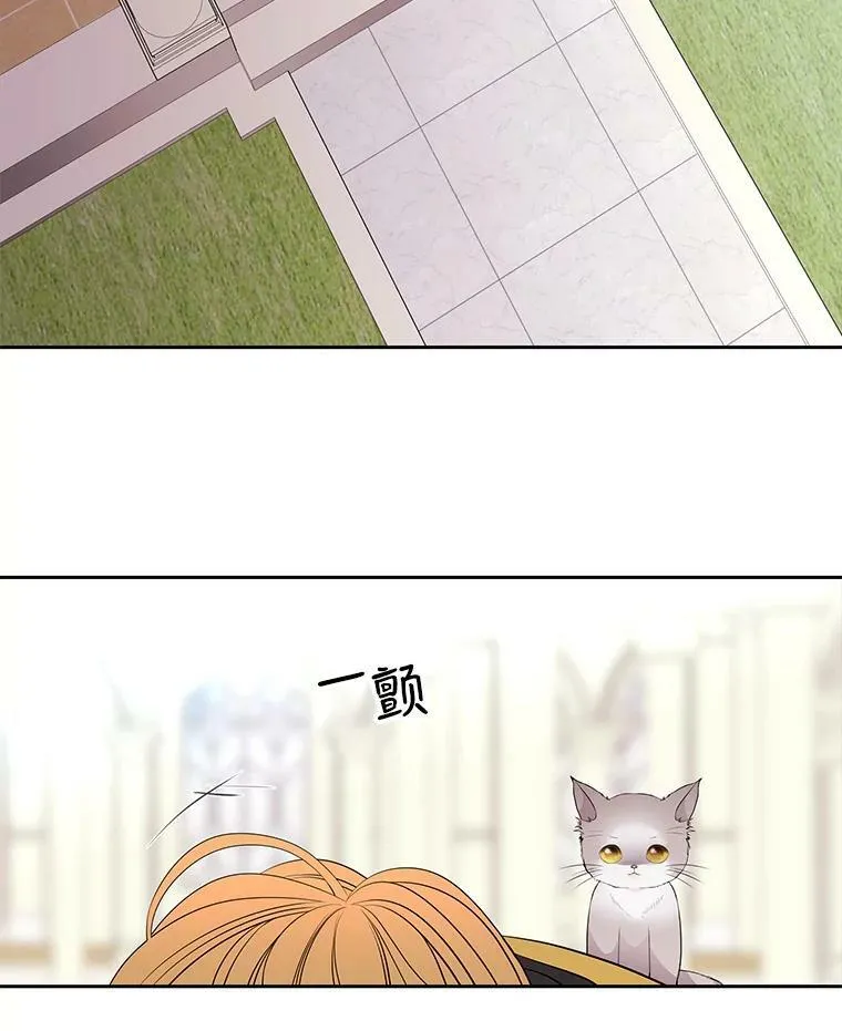 61.妖精之王的第二次祝福37