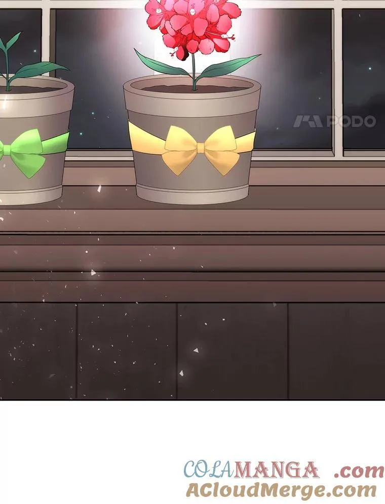 201.红云似花3