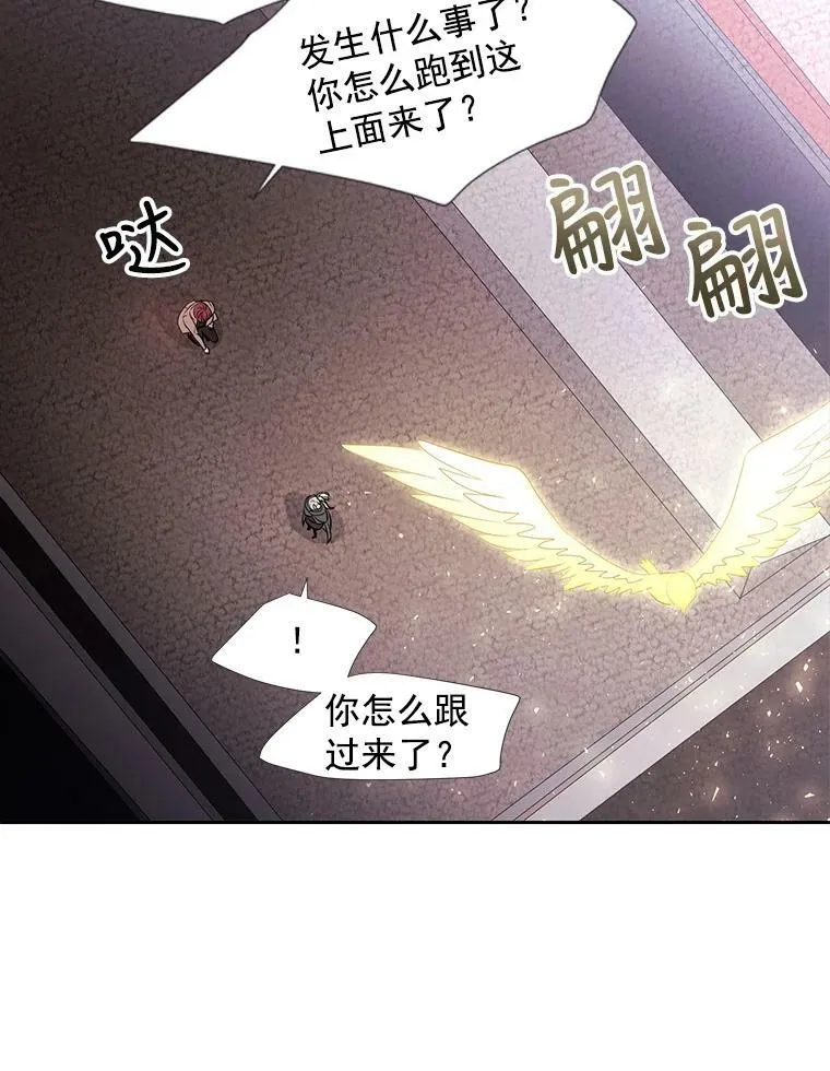 15.双方较量41