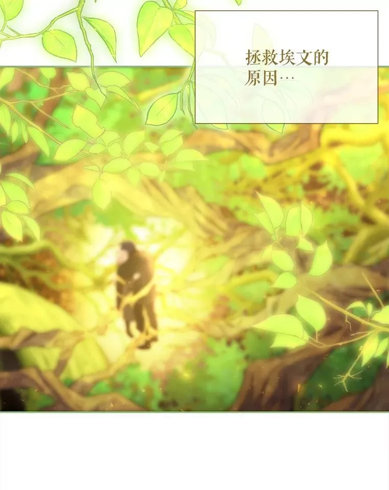 183.全新的力量47