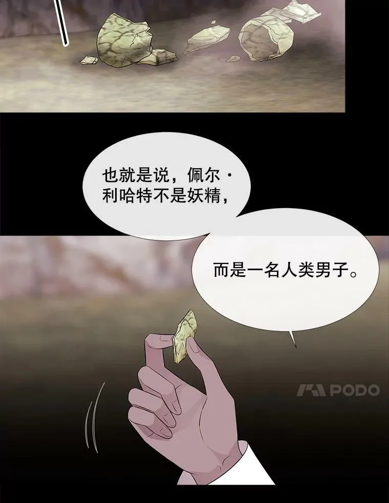 77.泰吉尔是善良的…53