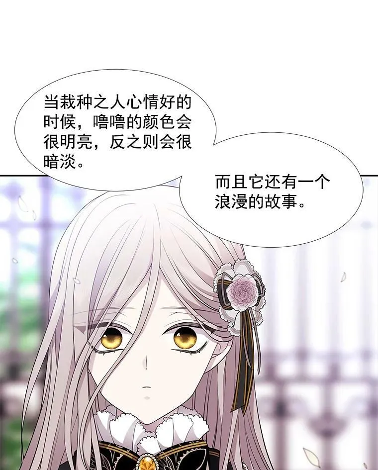 5.第三个弟子26