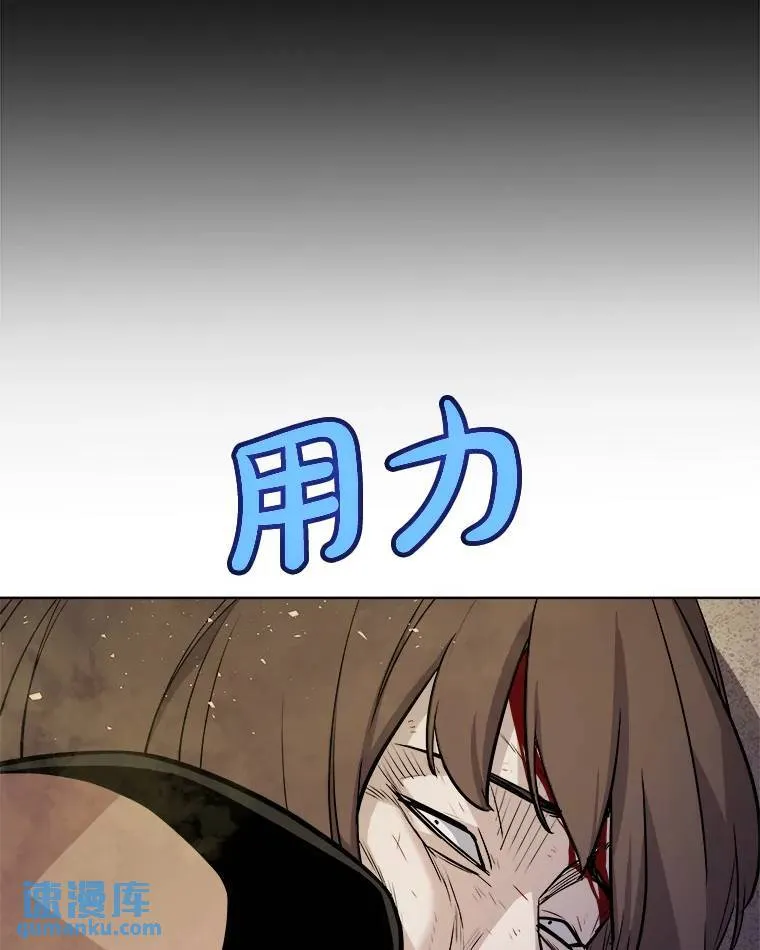 64.黄金猫头鹰13