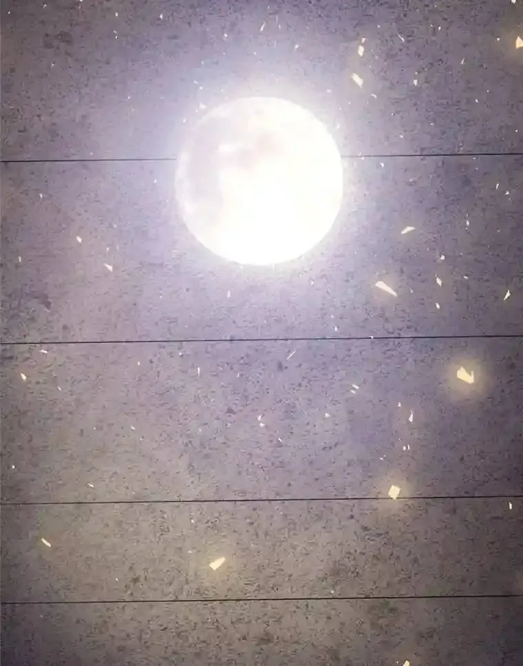 39.日月同辉58