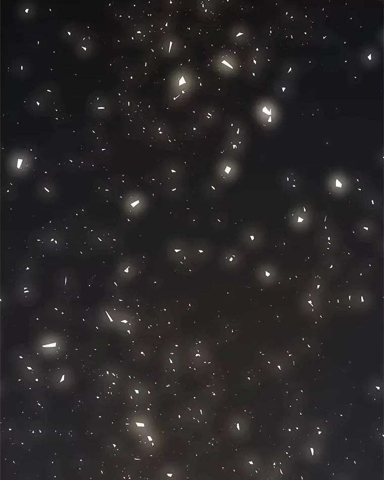 56.辛苦了，里昂145
