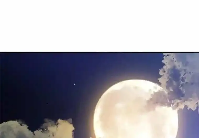 31.确定战略23
