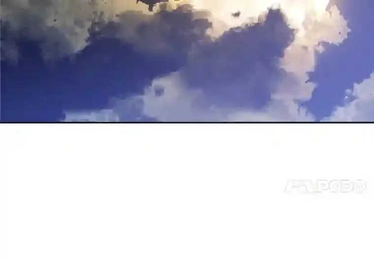 31.确定战略24