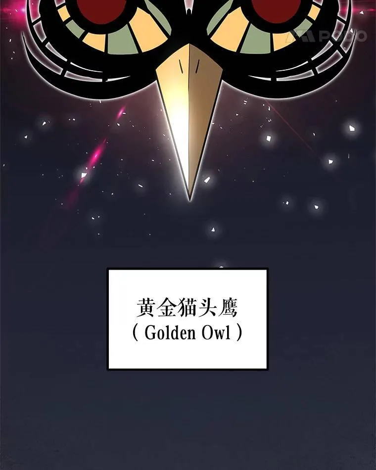 64.黄金猫头鹰35