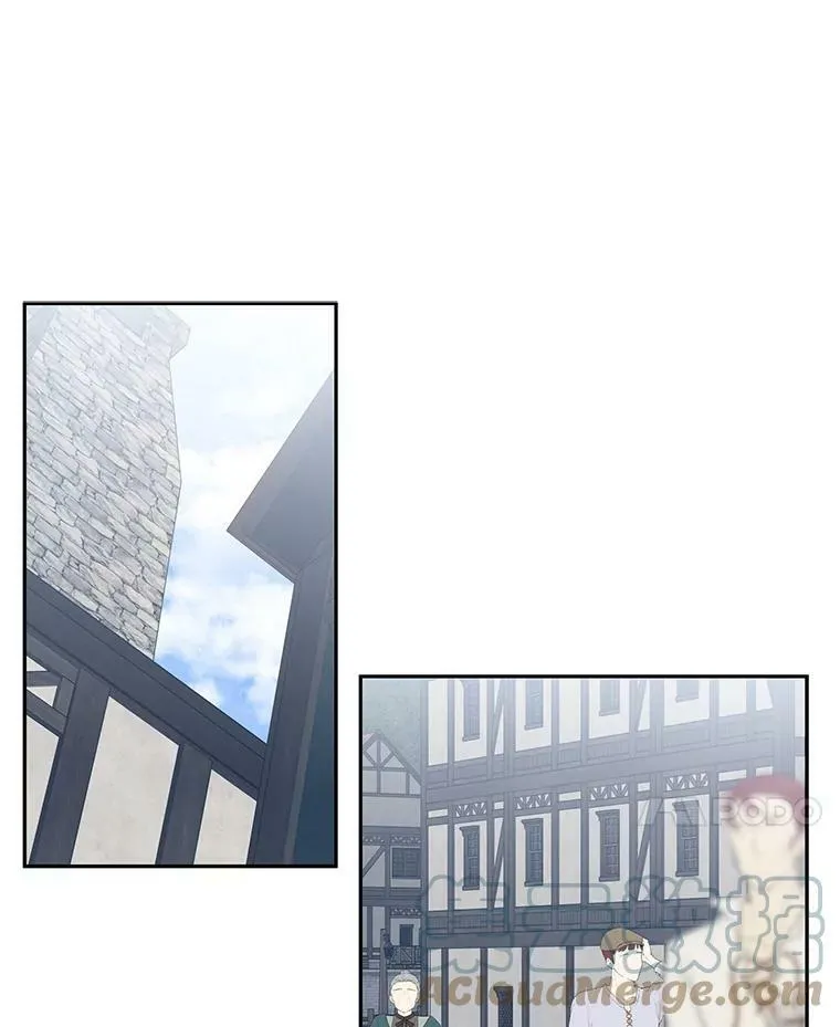 34.来到公爵府33