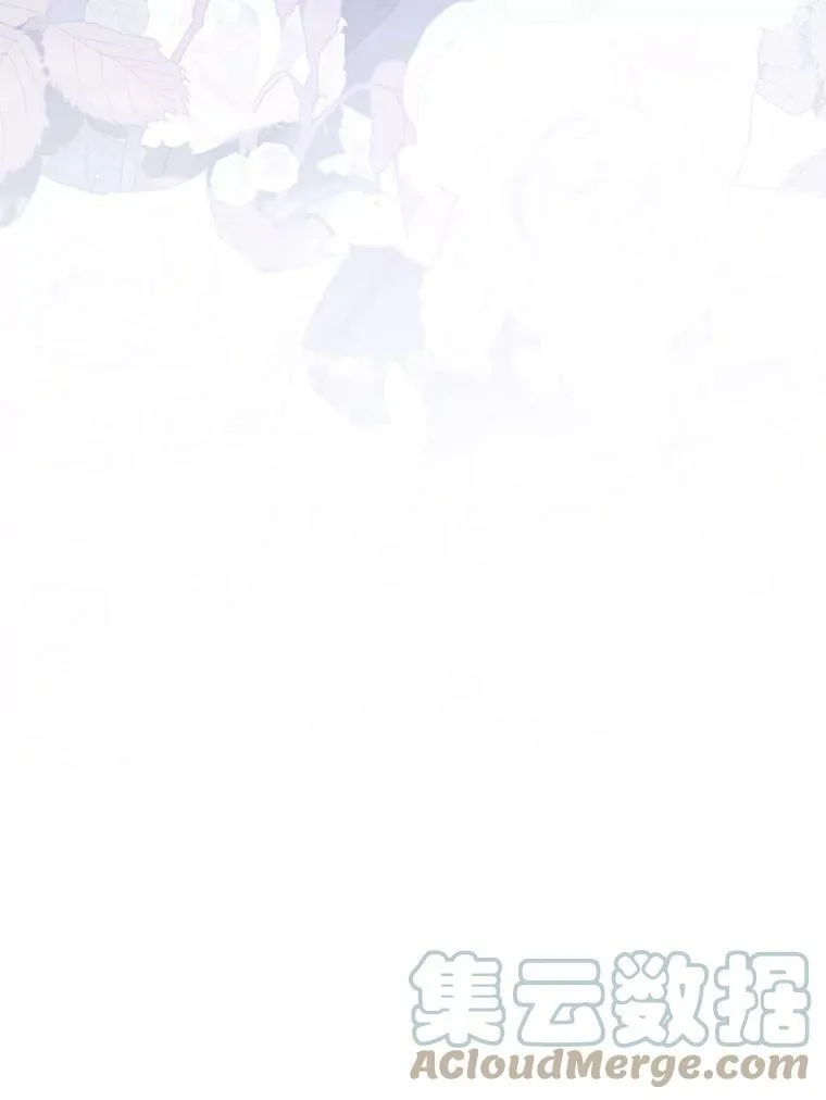 27.她的计划66