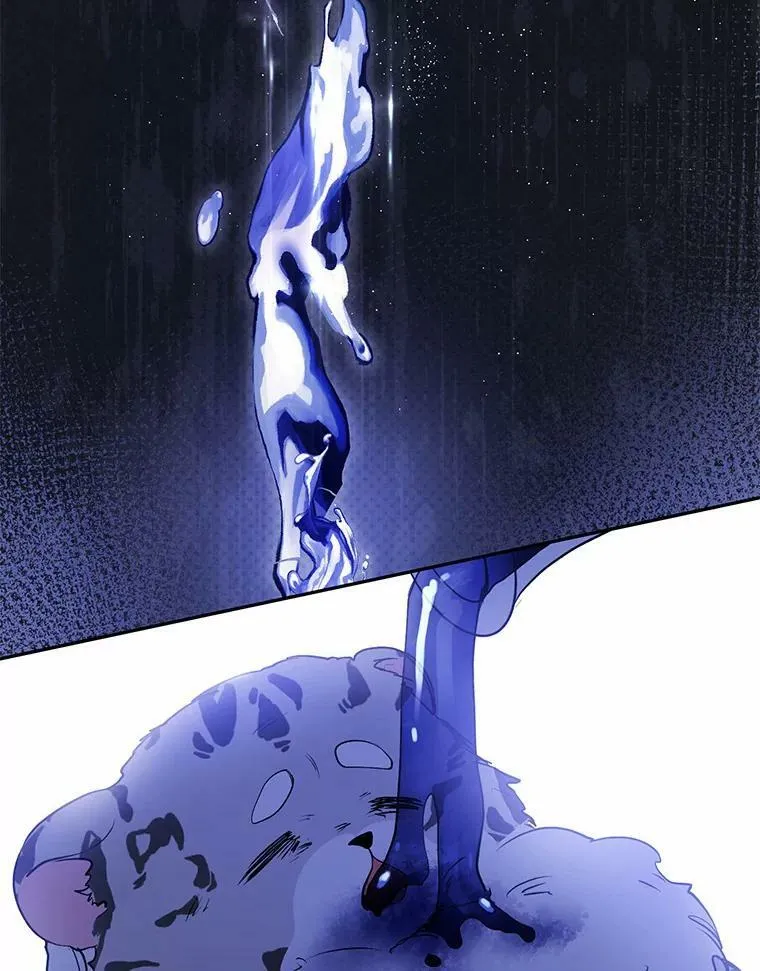57.第一只小宠物63
