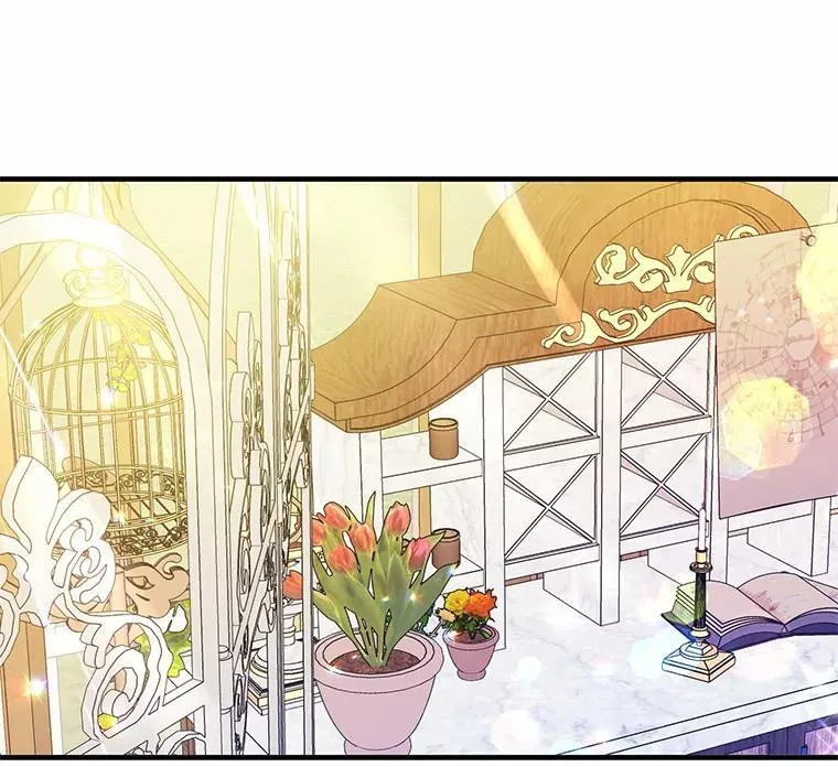40.玻璃花房75