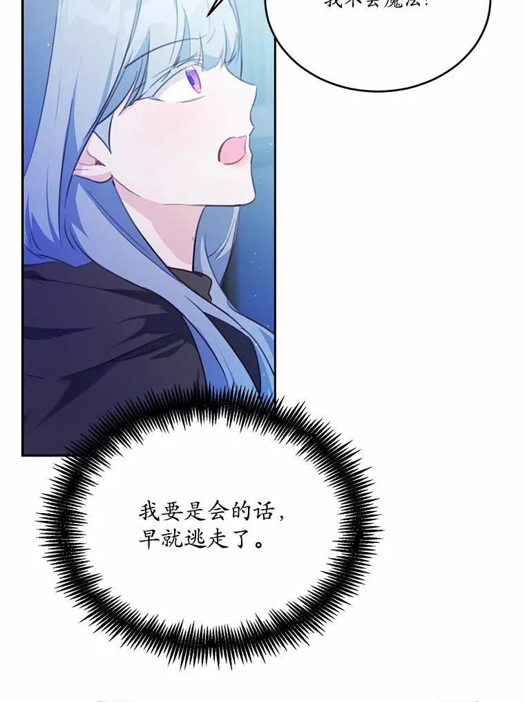 17.被毁坏的府邸74
