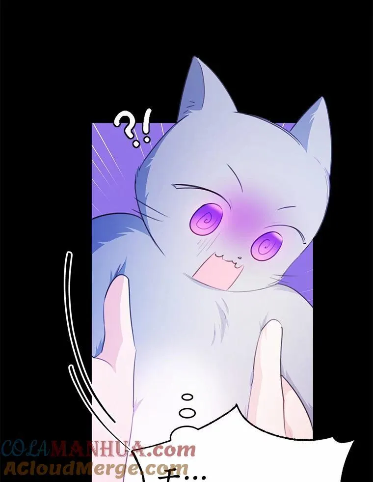 22.变身魔法81