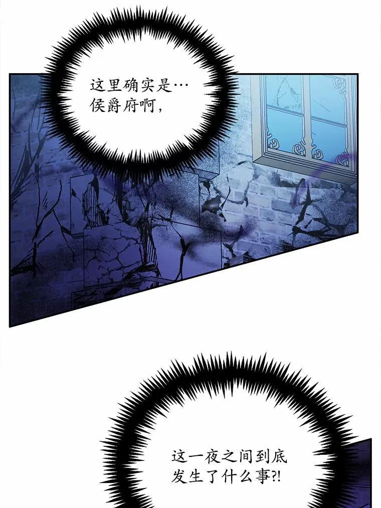 17.被毁坏的府邸47