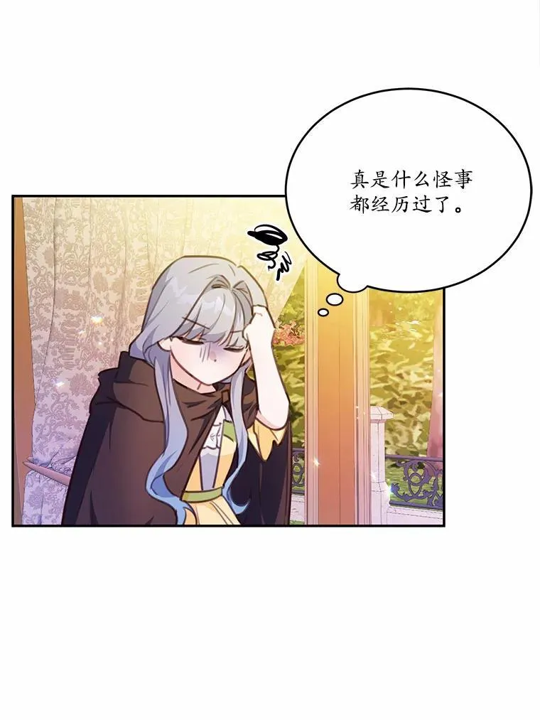 17.被毁坏的府邸27