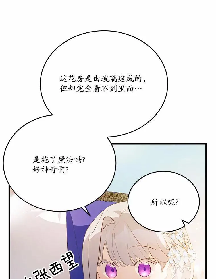 40.玻璃花房49