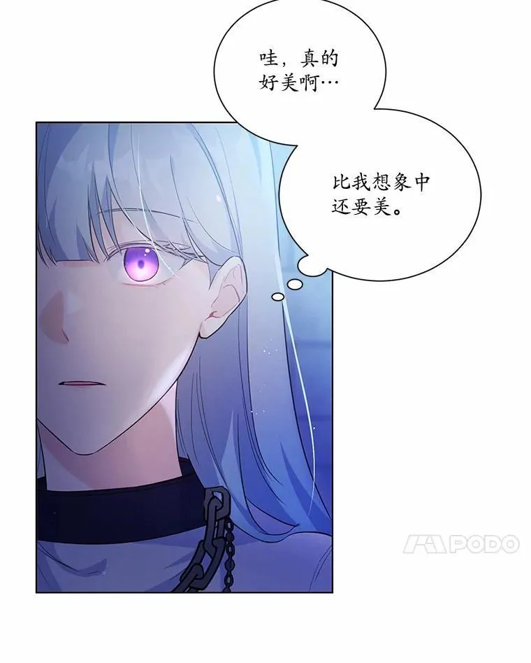 1.灵伴6