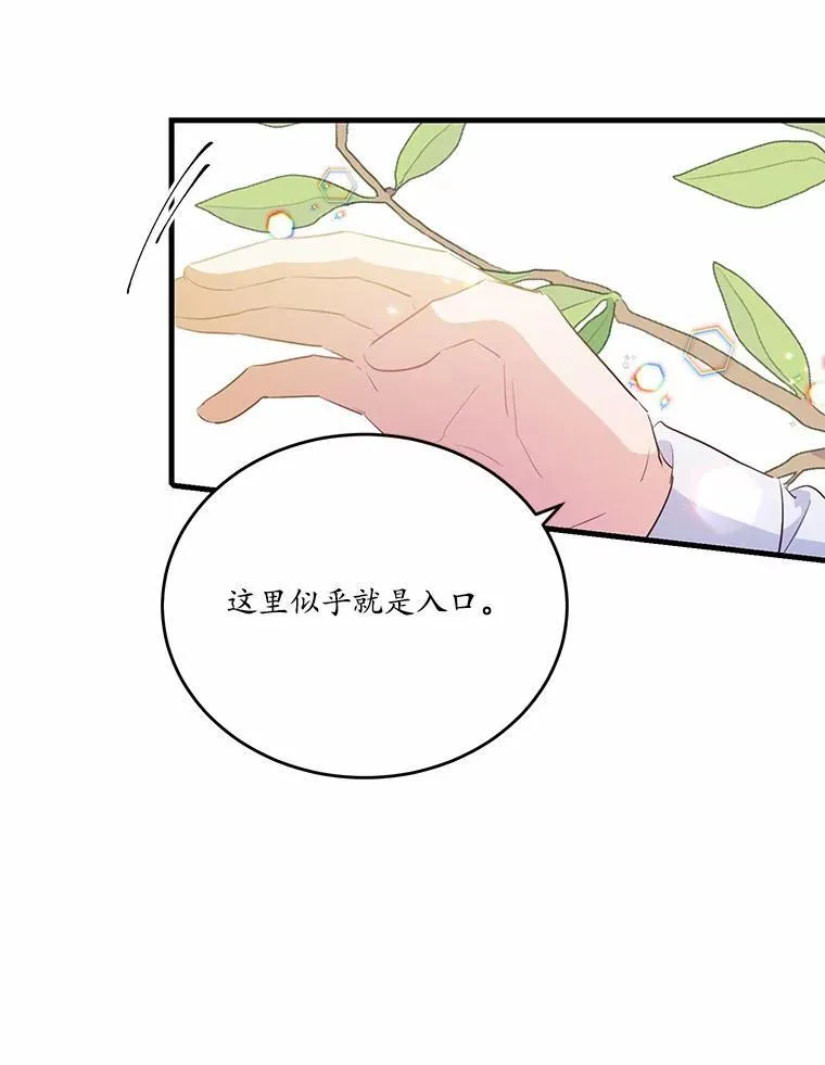 40.玻璃花房47