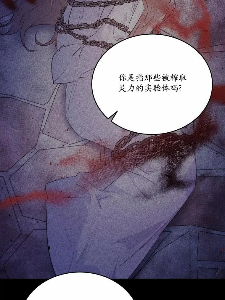 41.惊天谎言113
