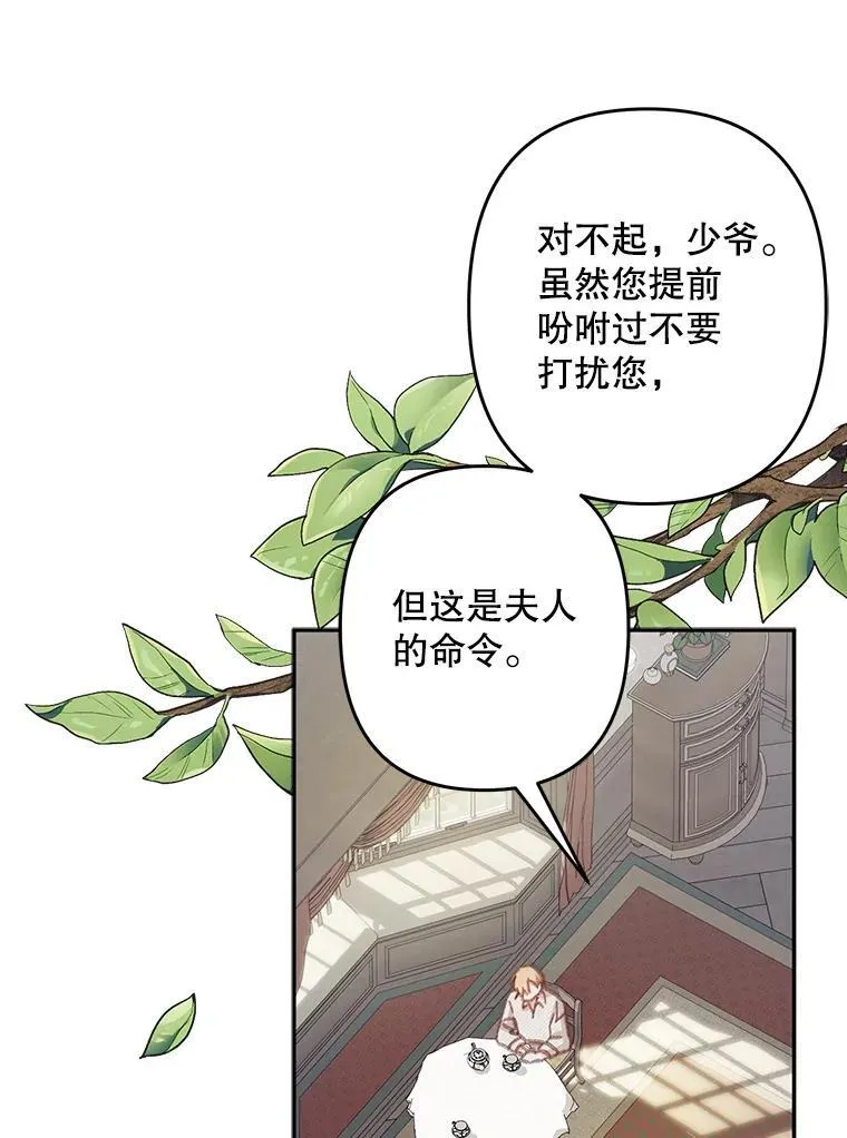 25.特别的茶67