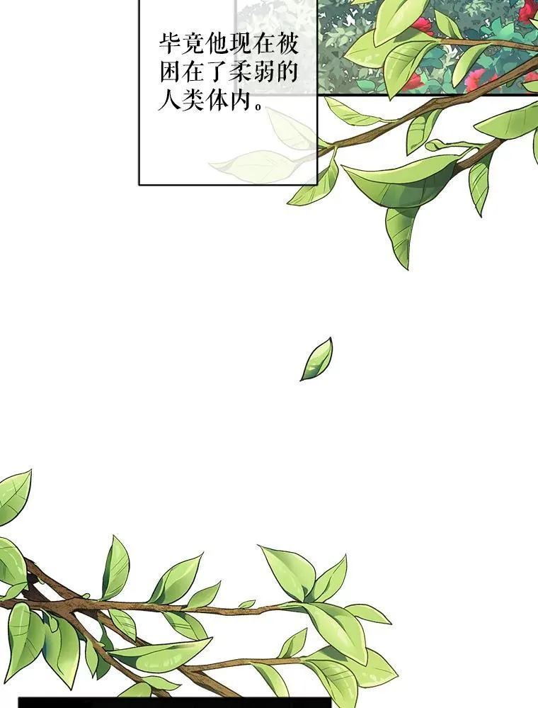 20.问道于花107